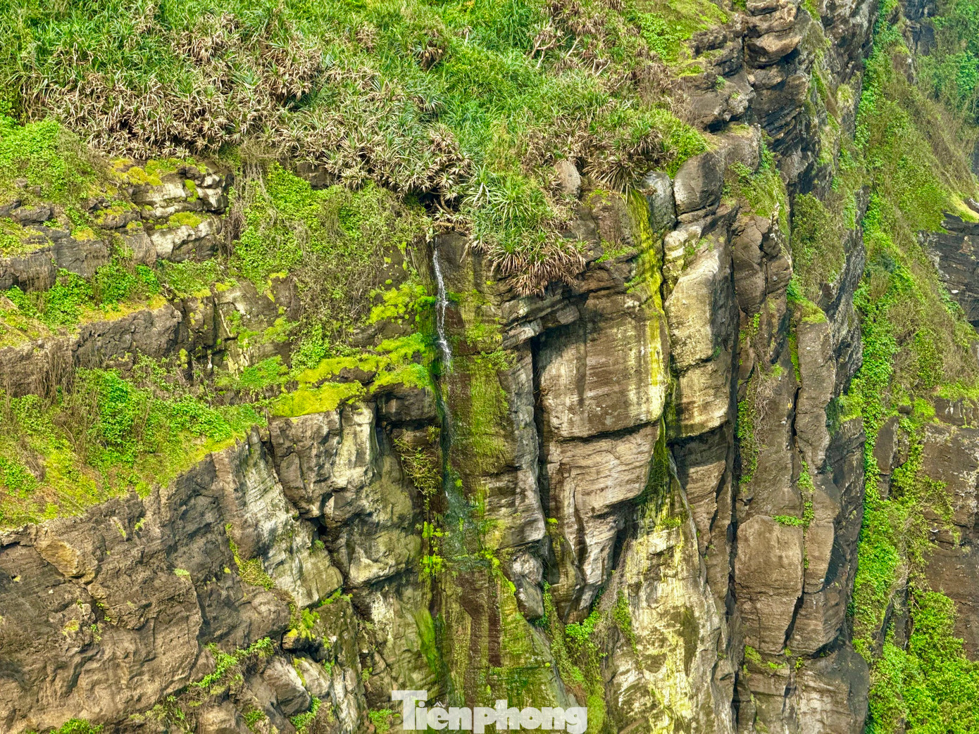 Nổi bật bên vách đá Hang Câu nhuộm màu rêu xanh và thảm cỏ còn có thác nước trắng xóa chảy từ miệng núi lửa Thới Lới xuống biển, tạo nên bức tranh thiên nhiên thơ mộng. Ảnh: Nguyễn Ngọc.