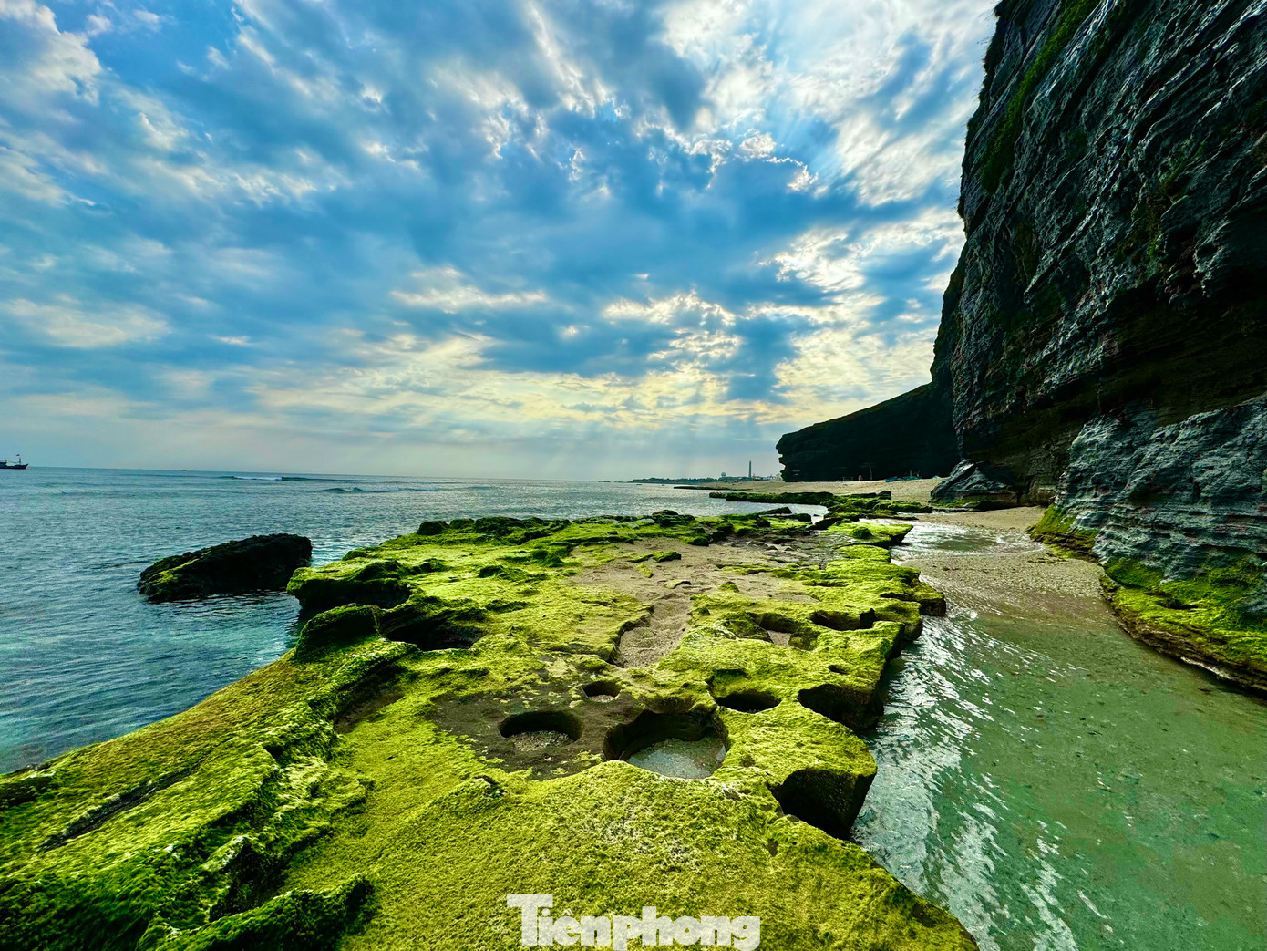 Những ngày đầu tháng 3, khi thời tiết bắt đầu nắng ấm, trên khắp các bãi đá, vách đá trầm tích núi lửa triệu năm ở huyện đảo Lý Sơn (tỉnh Quảng Ngãi) lại khoác lên mình tấm áo xanh rực rỡ của những thảm rêu xanh. Ảnh: Nguyễn Ngọc.