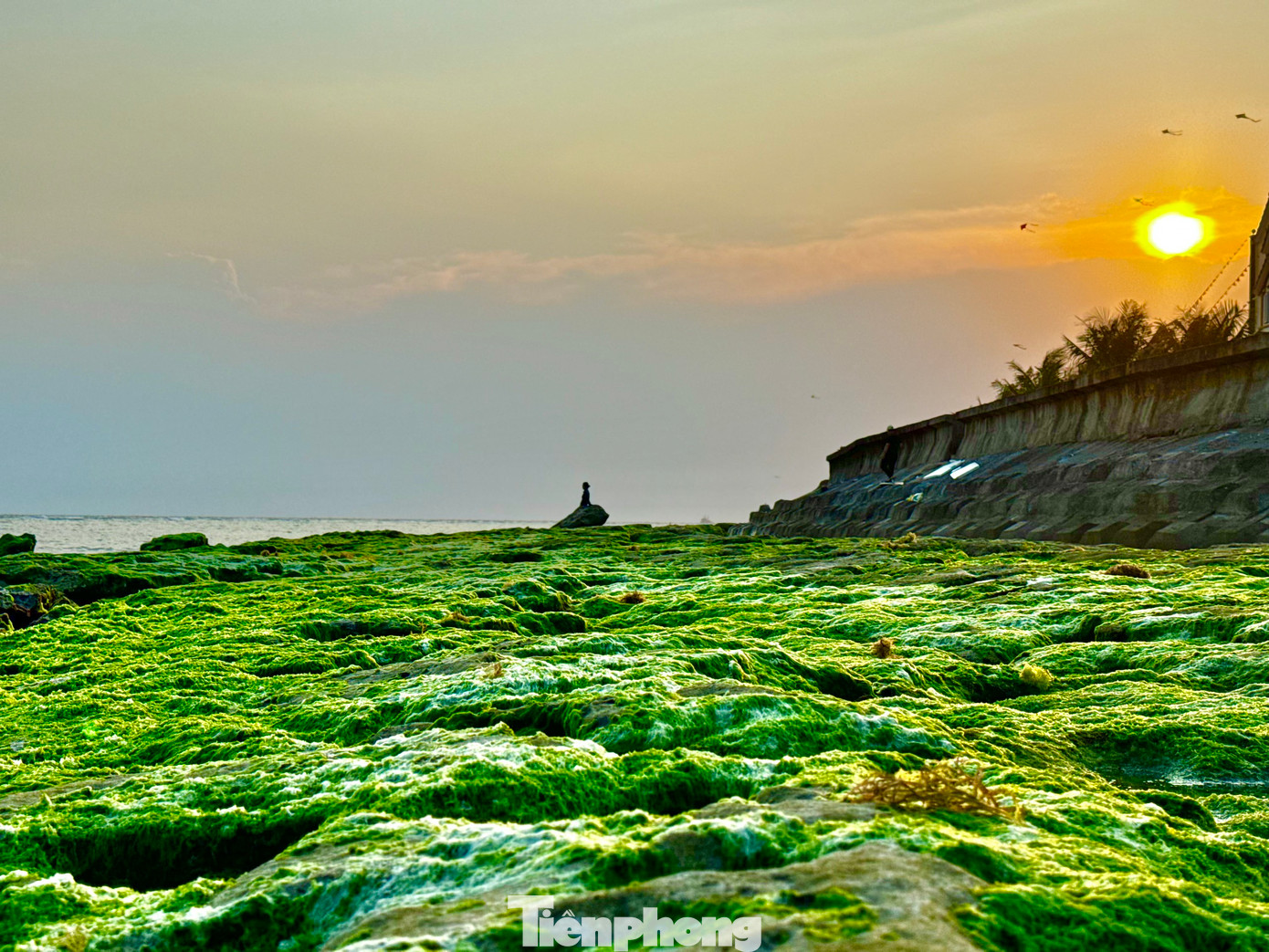 Khi hoàng hôn buông xuống, các bãi đá phủ kín rêu xanh tạo nên “phim trường lãng mạn” mê hoặc du khách. Ảnh: Nguyễn Ngọc.