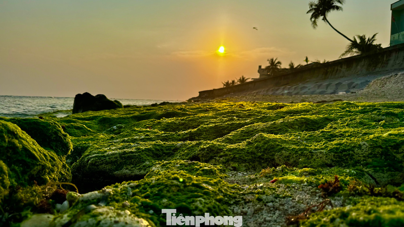 Khi hoàng hôn buông xuống, các bãi đá phủ kín rêu xanh tạo nên “phim trường lãng mạn” mê hoặc du khách. Ảnh: Nguyễn Ngọc.