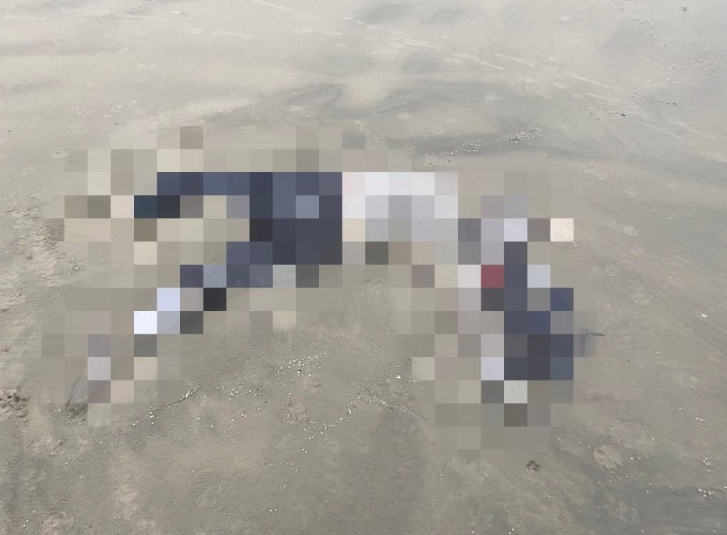 Người dân phát hiện 2 thi thể không còn nguyên vẹn trôi dạt vào bờ biển ở Quảng Ngãi