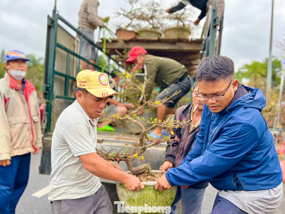 Theo nhiều tiểu thương, nếu trời vẫn mưa họ cầm chắc bị lỗ. Tất cả trông chờ ngày cuối năm nắng ấm để khách đến chợ đông hơn.