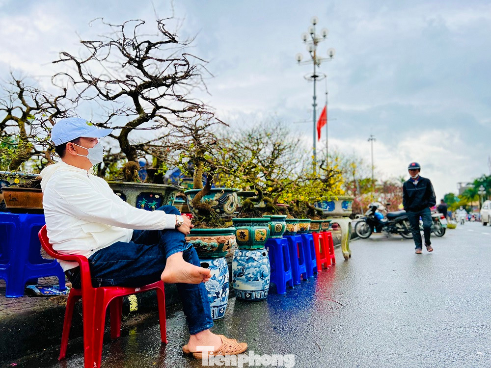 Anh Phạm Ngọc Anh Vũ (trú TP Quảng Ngãi) cho biết, anh bày bán 250 chậu mai ở chợ từ hôm 9/1. Nhưng 9 ngày qua, anh mới chỉ bán được 3 chậu.