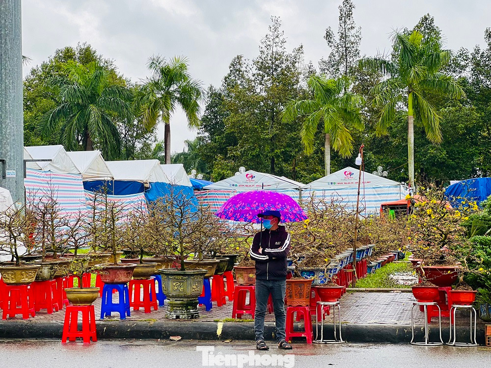 Nhiều tiểu thương tỏ ra rất lo lắng. Nếu lỗ nặng vụ hoa Tết, gia đình họ sẽ đối diện với muôn ngàn khó khăn.