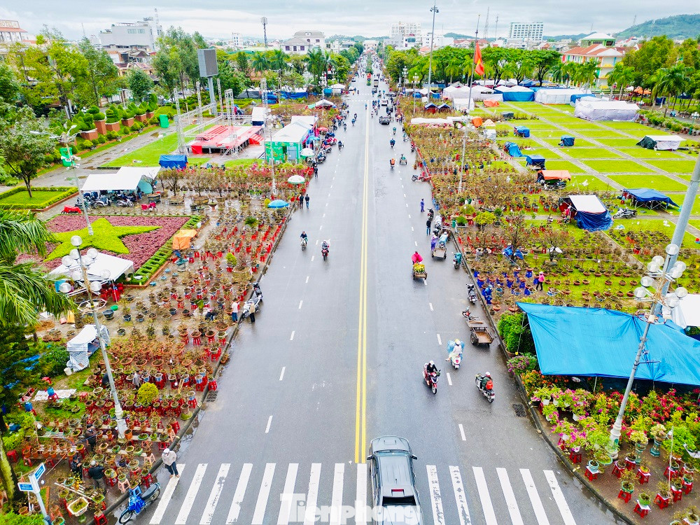 Chợ hoa Tết ở Quảng Ngãi tập trung hàng trăm tiểu thương ở Quảng Ngãi, Bình Định, Quảng Nam... Khoảng từ 18 tháng Chạp, họ bắt đầu dựng lều bạt để ăn ở, thuận lợi cho việc buôn bán.