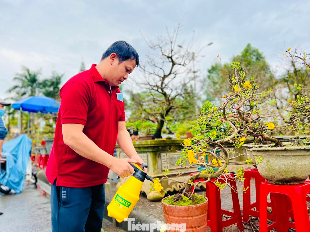 Nhiều tiểu thương tỏ ra rất lo lắng. Nếu lỗ nặng vụ hoa Tết, gia đình họ sẽ đối diện với muôn ngàn khó khăn.
