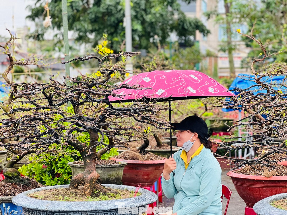 “Nếu trong hôm nay và ngày mai mà còn vắng khách có thể tôi sẽ hạ giá để thu hồi vốn”, anh Tín nói.