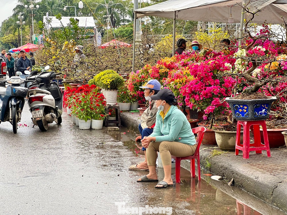 Chỉ còn 3 ngày nữa là bước sang năm mới. Thế nhưng, ở chợ hoa Tết lớn nhất Quảng Ngãi không có cảnh mua bán tấp nập mọi năm. Mưa lạnh kéo dài khiến chợ rơi vào cảnh ế ẩm. Hàng trăm tiểu thương "đứng ngồi không yên" vì vắng khách.