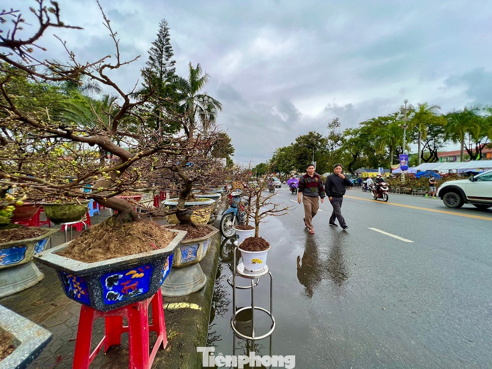 Sáng 18/1 (27 tháng Chạp), chợ hoa ở Quảng Ngãi chỉ có lác đác vài người mua. Tiểu thương co ro trong mưa lạnh.
