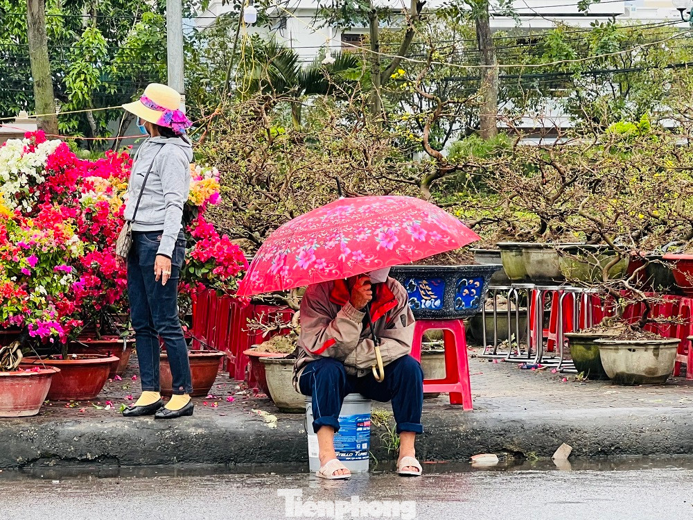 Chỉ còn 3 ngày nữa là bước sang năm mới. Thế nhưng, ở chợ hoa Tết lớn nhất Quảng Ngãi không có cảnh mua bán tấp nập mọi năm. Mưa lạnh kéo dài khiến chợ rơi vào cảnh ế ẩm. Hàng trăm tiểu thương "đứng ngồi không yên" vì vắng khách.