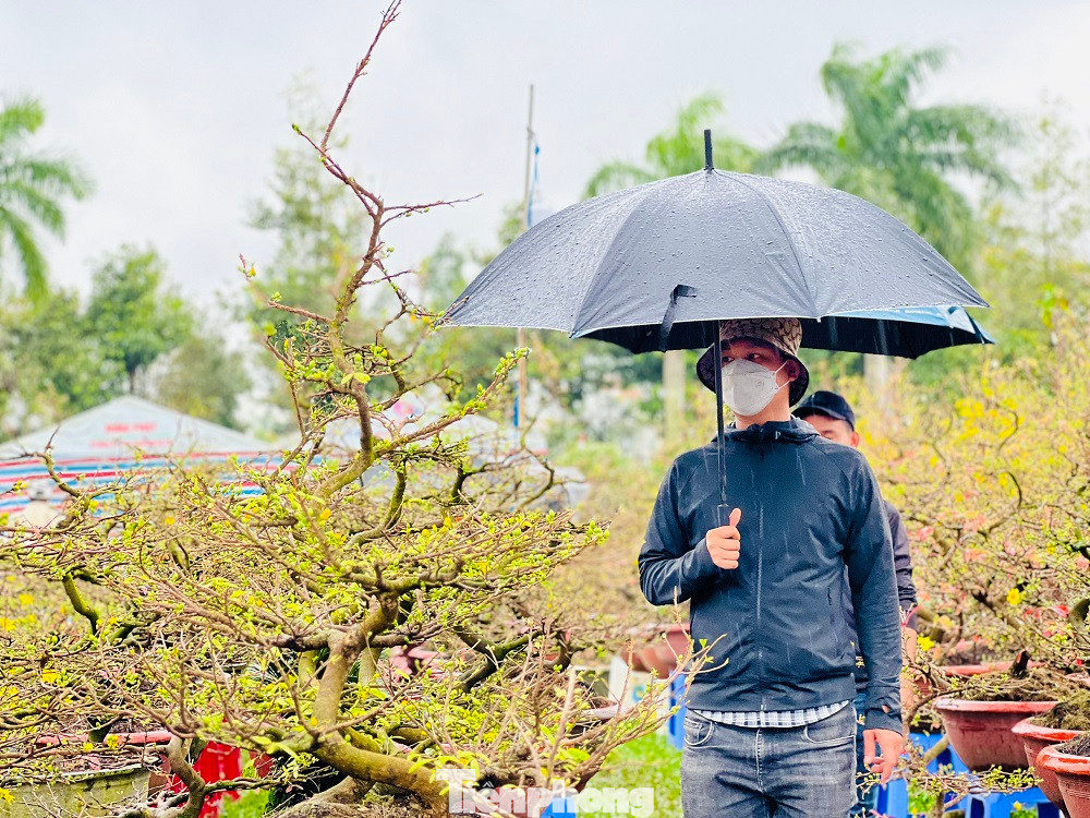 Theo nhiều tiểu thương, nếu trời vẫn mưa họ cầm chắc bị lỗ. Tất cả trông chờ ngày cuối năm nắng ấm để khách đến chợ đông hơn.