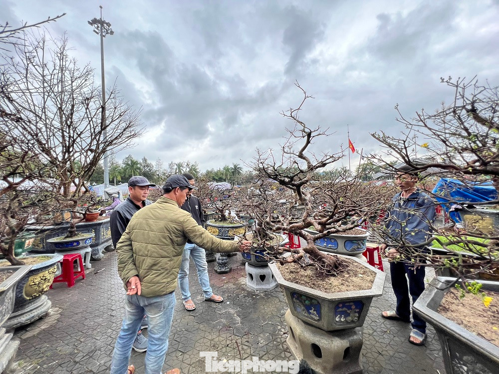 Ông Nhâm Xuân Sỹ - Giám đốc Đài Khí tượng Thủy văn Quảng Ngãi cho biết, do ảnh hưởng của không khí lạnh tăng cường nên đến 30 Tết, ở Quảng Ngãi vẫn còn mưa lạnh.