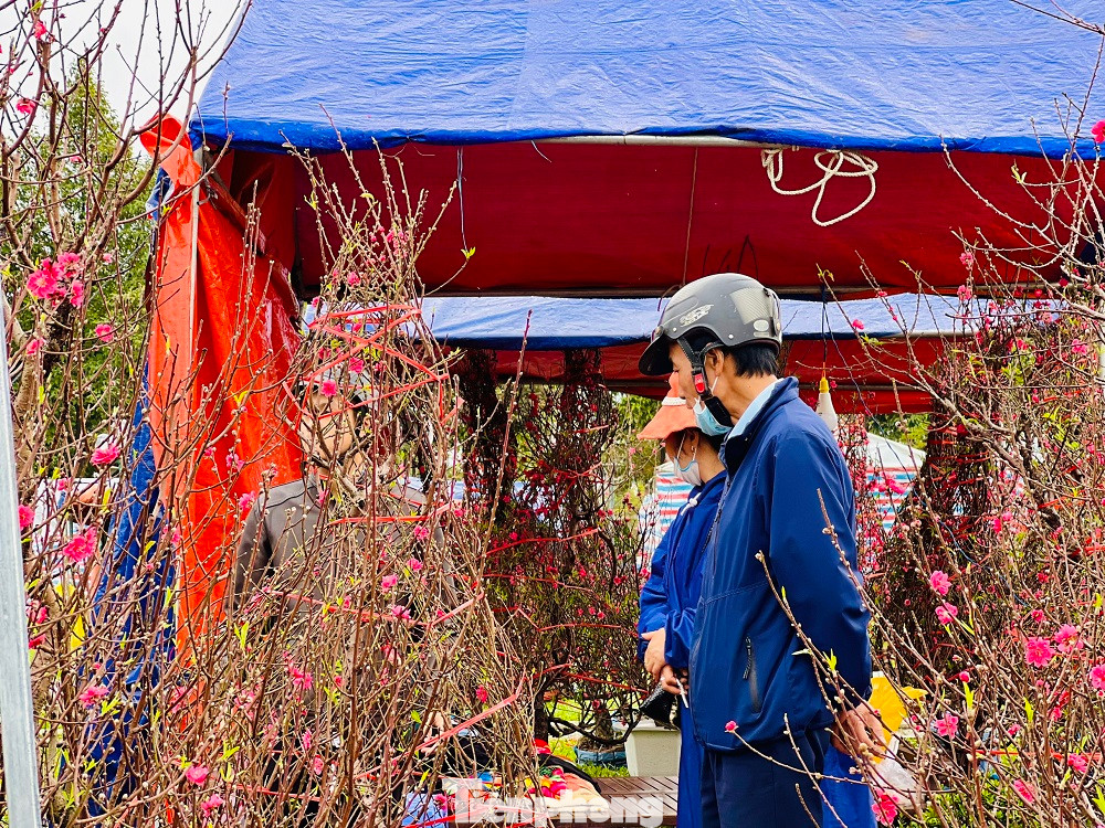 Chợ hoa lớn nhất Quảng Ngãi có rất nhiều loại hoa như hoa cúc, hoa mai, hoa đào, hoa hồng, hoa giấy… được vận chuyển về từ khắp nơi. Nhưng do gặp tiết trời mưa lạnh nên hoa cũng không còn đẹp.