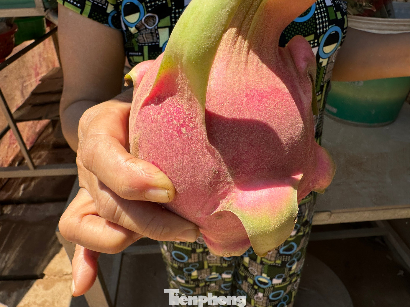 Cuộc sống của người dân dọc tỉnh lộ 624 bị đảo lộn vì khói bụi.