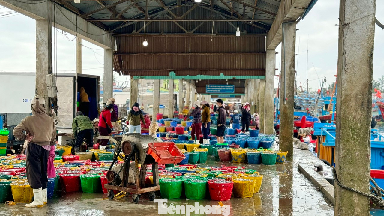 Gặp được nhiều luồng cá cơm, nên hầu hết các tàu đều bội thu. Được mùa cá cơm, giá bán cũng ổn định, khiến ngư dân rất phấn khởi trong những ngày giáp Tết. Ảnh: Nguyễn Ngọc