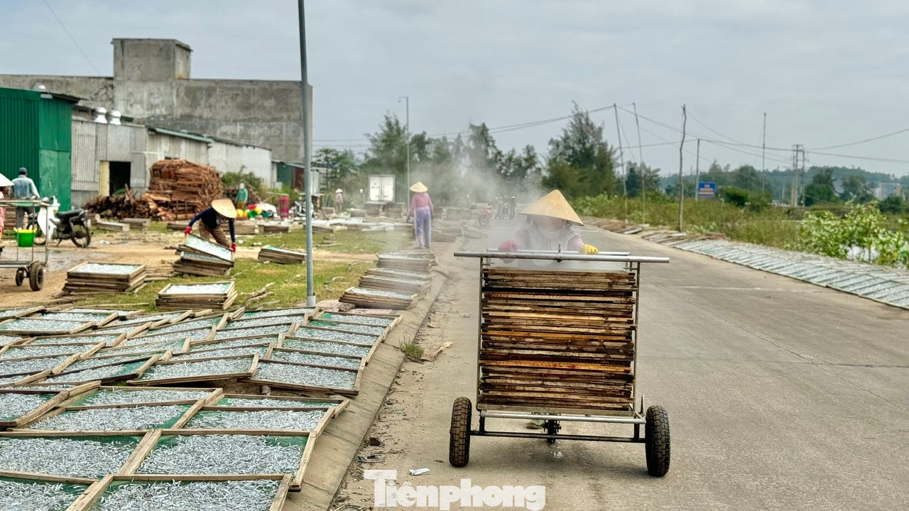 Những khay cá hấp còn nóng hổi được đưa lên xe đi phơi khô. Ảnh: Nguyễn Ngọc