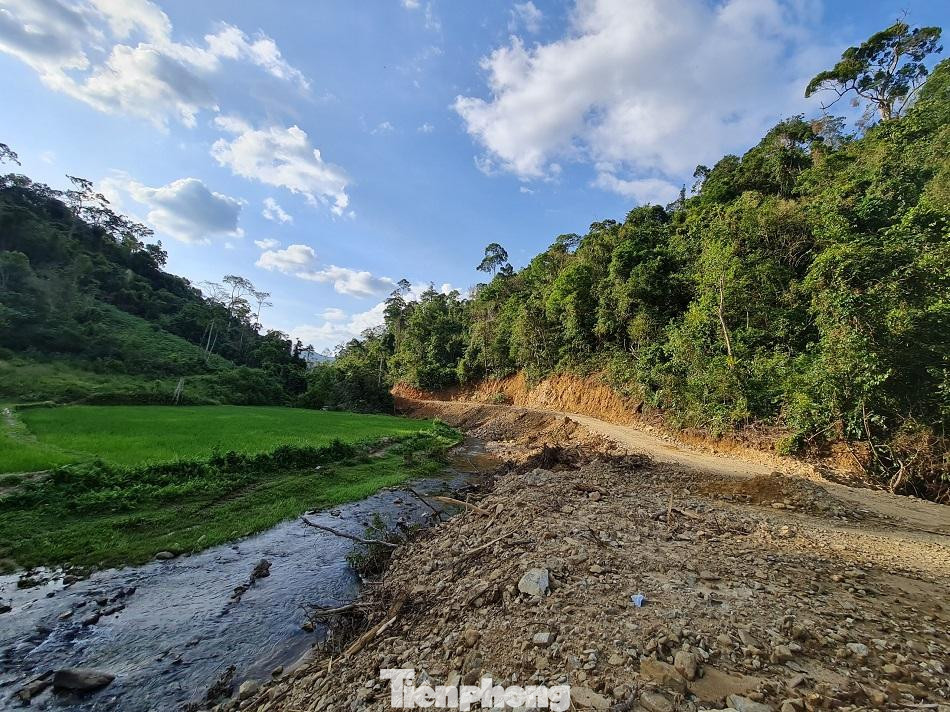 Ảnh: Nguyễn Ngọc