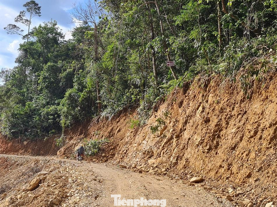 Dù chưa được cho phép, nhưng đơn vị thi công vẫn ngang nhiên san ủi rừng phòng hộ để làm đường thi công thủy điện. Ảnh: Nguyễn Ngọc