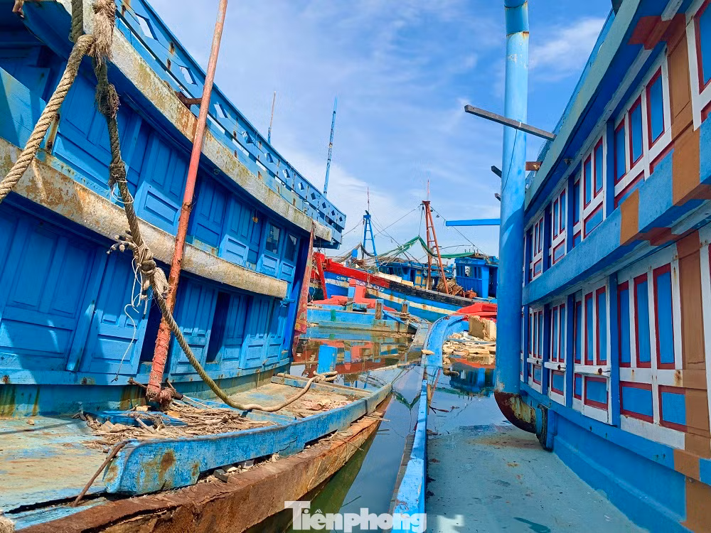 Nguyên nhân chính là do các chủ tàu làm ăn thua lỗ, vướng nợ ngân hàng vì vay đóng tàu mới. Nguyên nhân chính là do các chủ tàu làm ăn thua lỗ, vướng nợ ngân hàng vì vay đóng tàu mới.