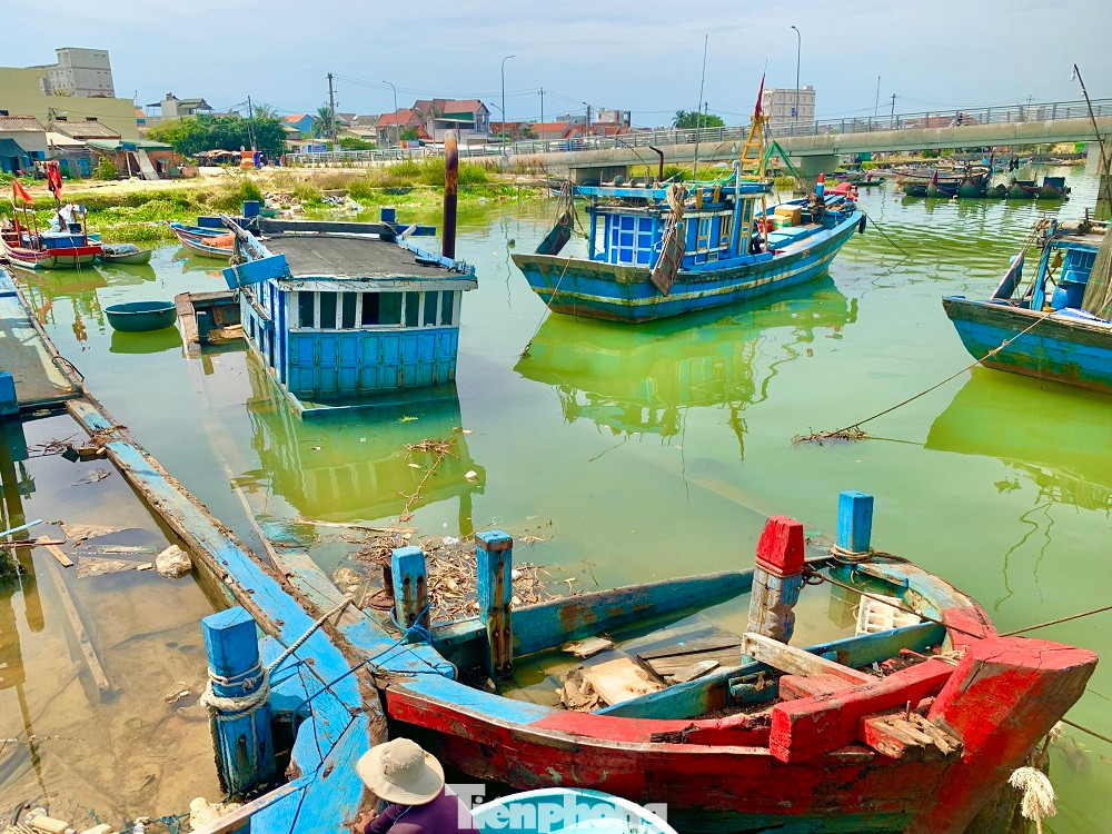 Những con tàu nằm ngổn ngang, mục nát. Những con tàu nằm ngổn ngang, mục nát.