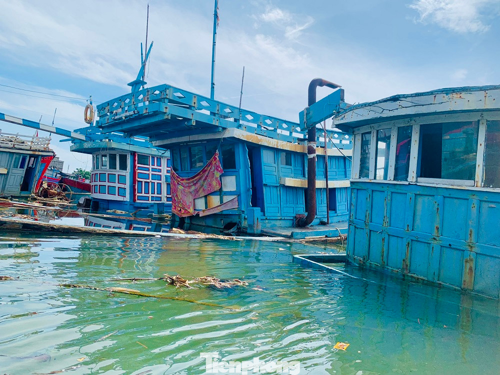 Trước tình hình này, chính quyền xã Nghĩa An cũng đã kiến nghị các cấp, ngành liên quan cần có giải pháp tháo gỡ khó khăn cho ngư dân. Trước tình hình này, chính quyền xã Nghĩa An cũng đã kiến nghị các cấp, ngành liên quan cần có giải pháp tháo gỡ khó khăn cho ngư dân.