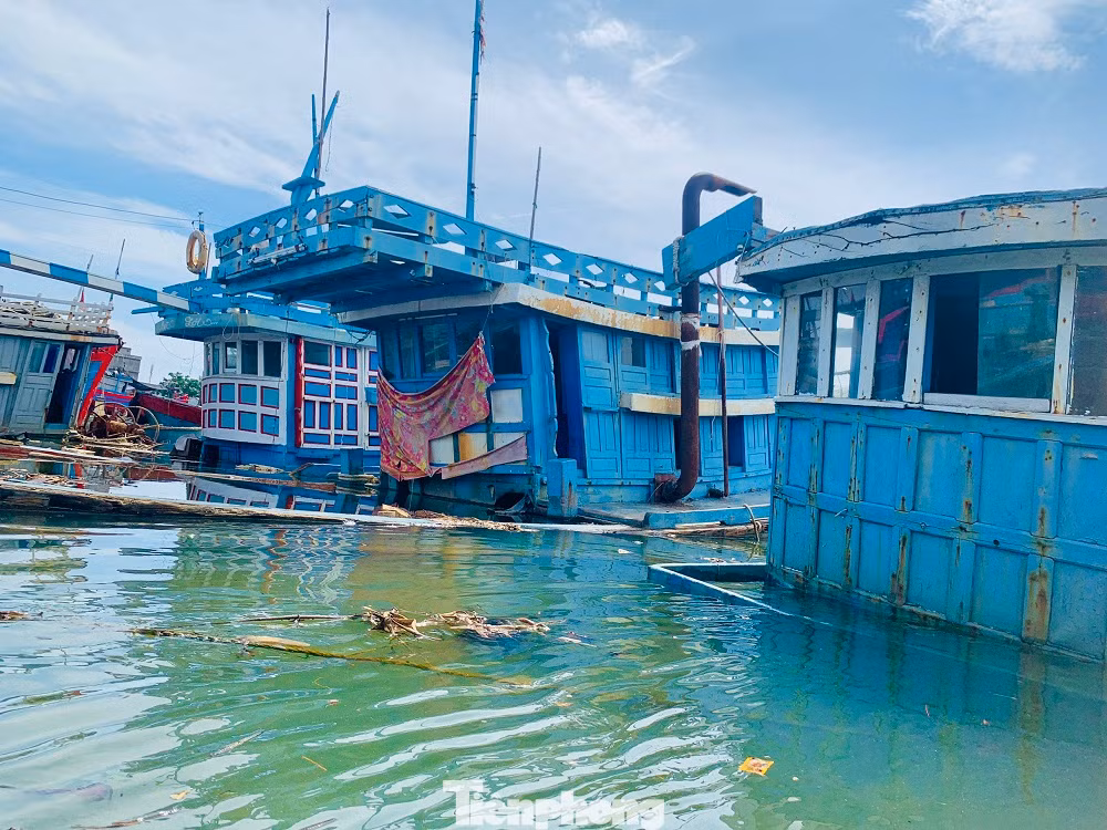 Trước tình hình này, chính quyền xã Nghĩa An cũng đã kiến nghị các cấp, ngành liên quan cần có giải pháp tháo gỡ khó khăn cho ngư dân. Trước tình hình này, chính quyền xã Nghĩa An cũng đã kiến nghị các cấp, ngành liên quan cần có giải pháp tháo gỡ khó khăn cho ngư dân.
