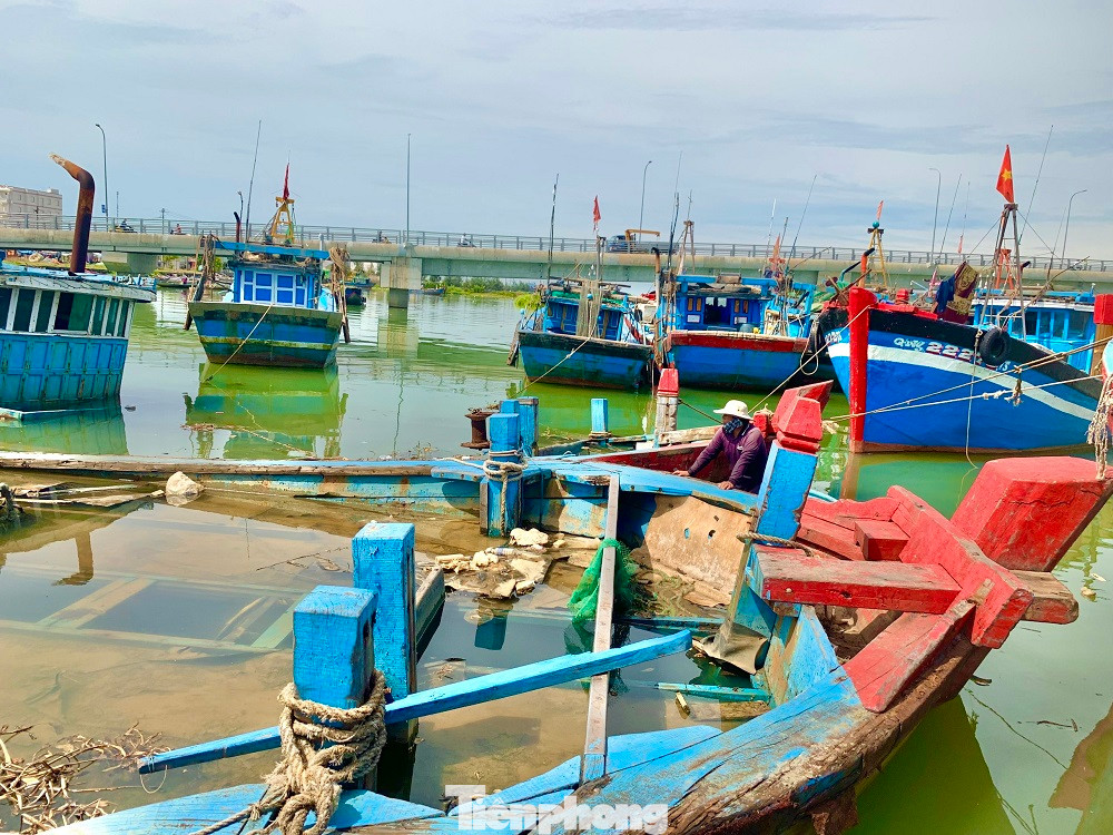 Trước tình hình này, chính quyền xã Nghĩa An cũng đã kiến nghị các cấp, ngành liên quan cần có giải pháp tháo gỡ khó khăn cho ngư dân. Trước tình hình này, chính quyền xã Nghĩa An cũng đã kiến nghị các cấp, ngành liên quan cần có giải pháp tháo gỡ khó khăn cho ngư dân.