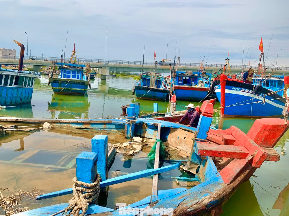 Trước tình hình này, chính quyền xã Nghĩa An cũng đã kiến nghị các cấp, ngành liên quan cần có giải pháp tháo gỡ khó khăn cho ngư dân. Trước tình hình này, chính quyền xã Nghĩa An cũng đã kiến nghị các cấp, ngành liên quan cần có giải pháp tháo gỡ khó khăn cho ngư dân.