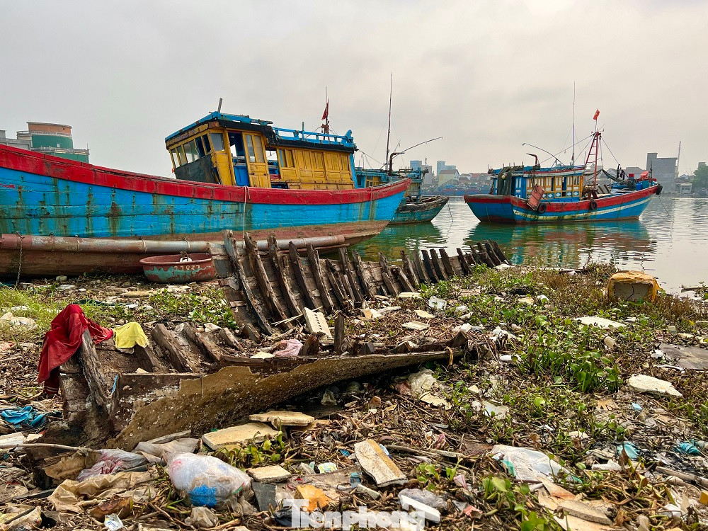 Những con tàu nằm ngổn ngang, mục nát. Những con tàu nằm ngổn ngang, mục nát.