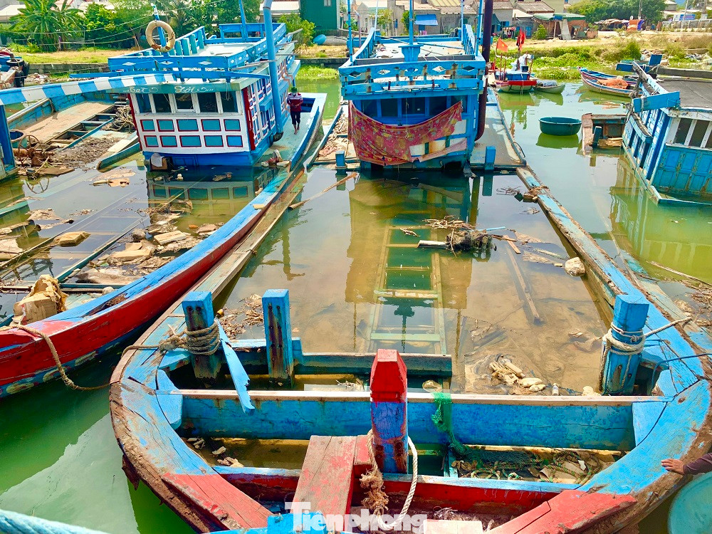 Nguyên nhân chính là do các chủ tàu làm ăn thua lỗ, vướng nợ ngân hàng vì vay đóng tàu mới. Nguyên nhân chính là do các chủ tàu làm ăn thua lỗ, vướng nợ ngân hàng vì vay đóng tàu mới.