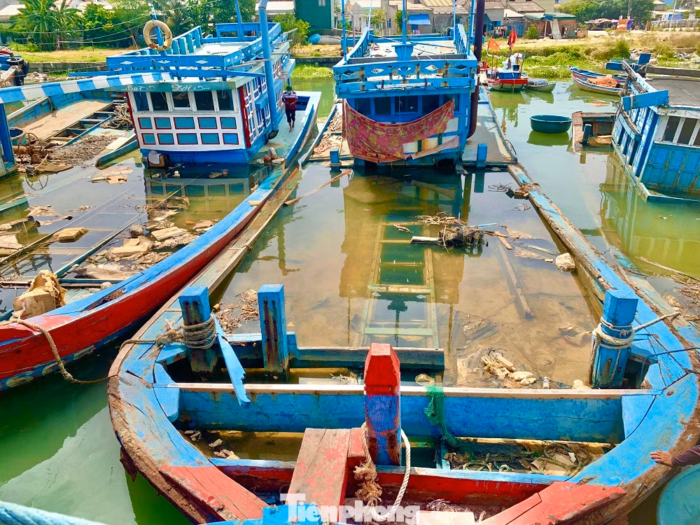 Nguyên nhân chính là do các chủ tàu làm ăn thua lỗ, vướng nợ ngân hàng vì vay đóng tàu mới. Nguyên nhân chính là do các chủ tàu làm ăn thua lỗ, vướng nợ ngân hàng vì vay đóng tàu mới.