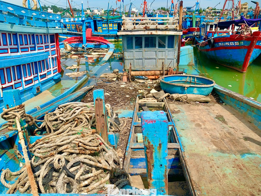 Nguyên nhân chính là do các chủ tàu làm ăn thua lỗ, vướng nợ ngân hàng vì vay đóng tàu mới. Nguyên nhân chính là do các chủ tàu làm ăn thua lỗ, vướng nợ ngân hàng vì vay đóng tàu mới.