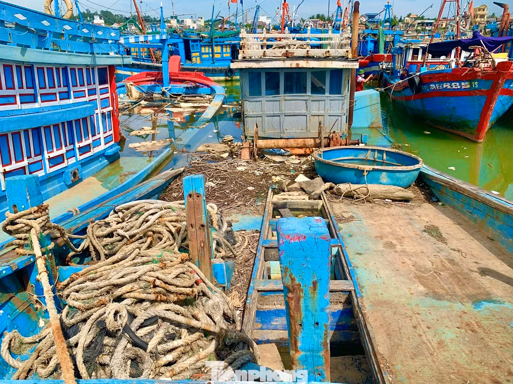 Nguyên nhân chính là do các chủ tàu làm ăn thua lỗ, vướng nợ ngân hàng vì vay đóng tàu mới. Nguyên nhân chính là do các chủ tàu làm ăn thua lỗ, vướng nợ ngân hàng vì vay đóng tàu mới.