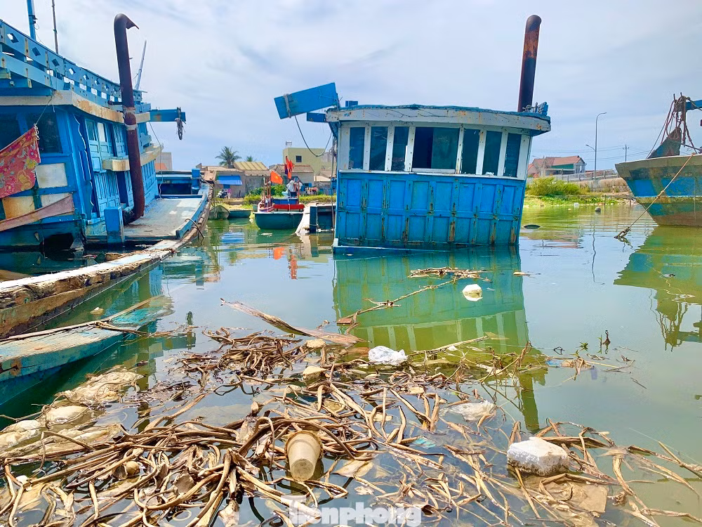 Đa phần số tàu cá bị bỏ, chìm tại cửa sông Phú Này đều là của ngư dân xã Nghĩa Phú và Nghĩa An, TP Quảng Ngãi. Đa phần số tàu cá bị bỏ, chìm tại cửa sông Phú Này đều là của ngư dân xã Nghĩa Phú và Nghĩa An, TP Quảng Ngãi.