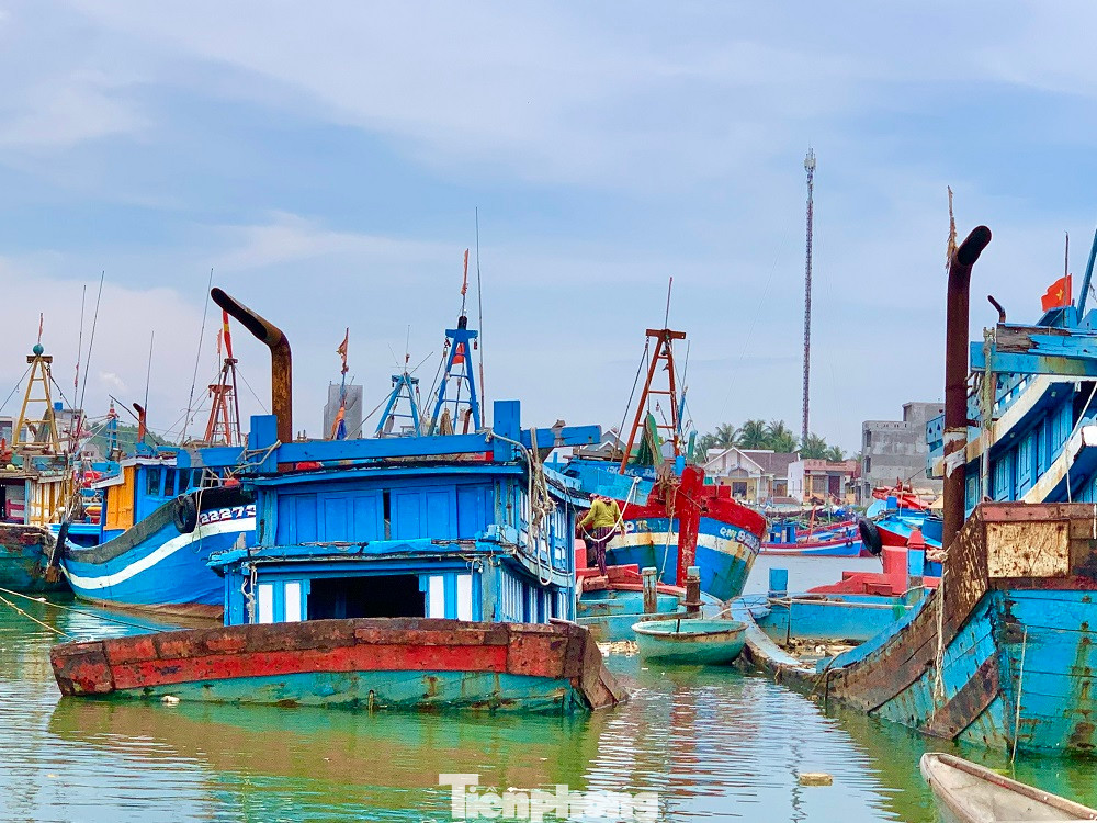 Sau thời gian dài neo đậu, những tàu cá tiền tỷ bắt đầu hư hỏng rồi chìm xuống sông Phú Thọ. Sau thời gian dài neo đậu, những tàu cá tiền tỷ bắt đầu hư hỏng rồi chìm xuống sông Phú Thọ.