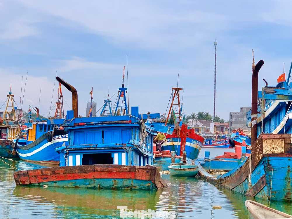 Sau thời gian dài neo đậu, những tàu cá tiền tỷ bắt đầu hư hỏng rồi chìm xuống sông Phú Thọ. Sau thời gian dài neo đậu, những tàu cá tiền tỷ bắt đầu hư hỏng rồi chìm xuống sông Phú Thọ.