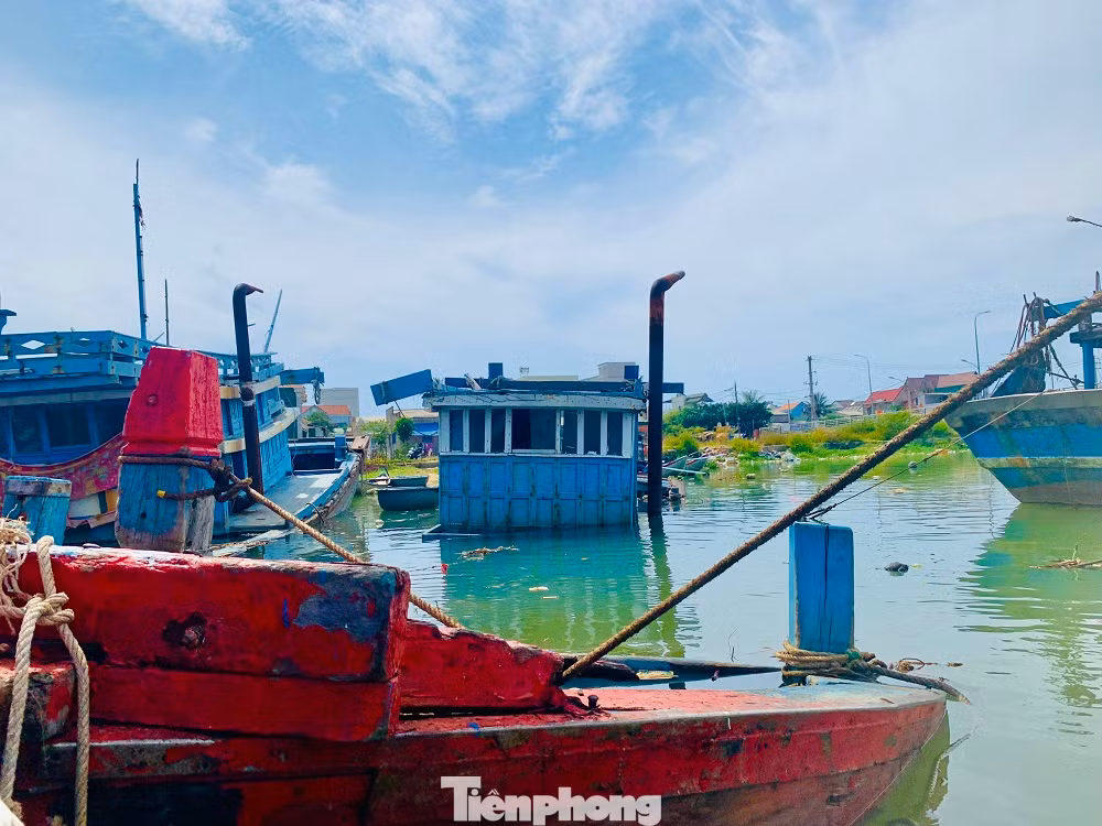 Sau thời gian dài neo đậu, những tàu cá tiền tỷ bắt đầu hư hỏng rồi chìm xuống sông Phú Thọ. Sau thời gian dài neo đậu, những tàu cá tiền tỷ bắt đầu hư hỏng rồi chìm xuống sông Phú Thọ.