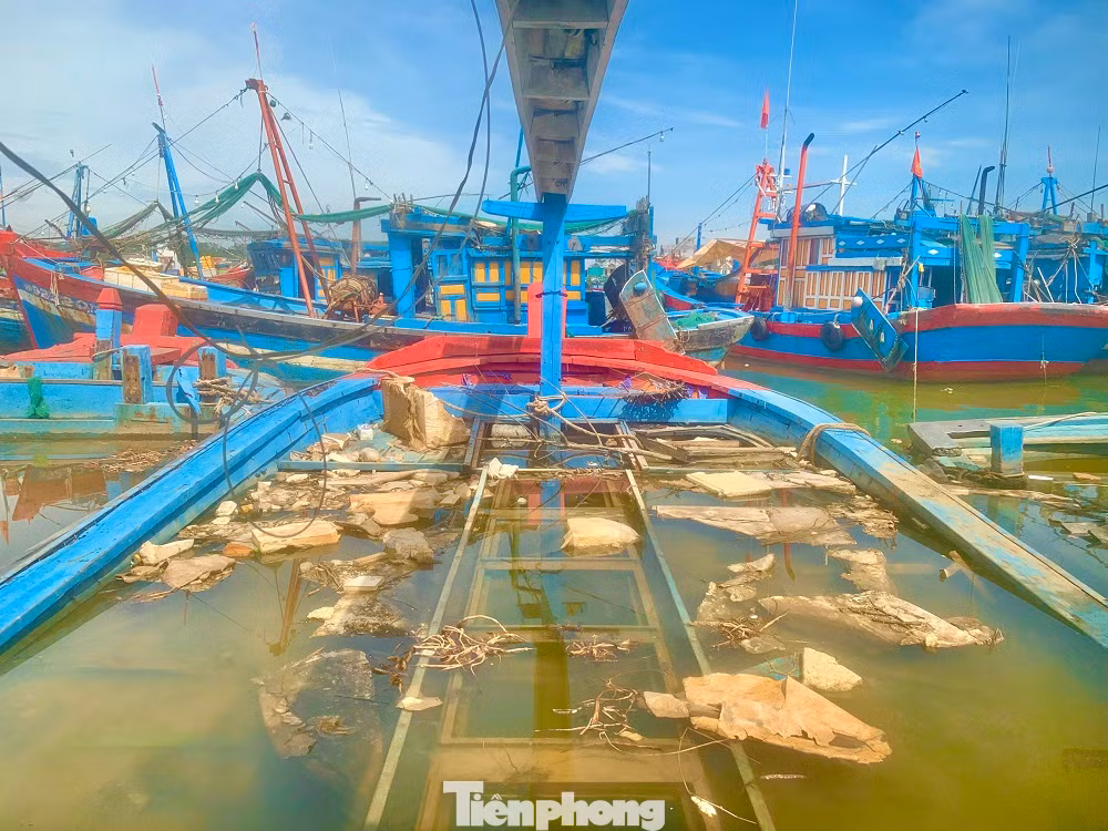 Trước tình hình này, chính quyền xã Nghĩa An cũng đã kiến nghị các cấp, ngành liên quan cần có giải pháp tháo gỡ khó khăn cho ngư dân. Trước tình hình này, chính quyền xã Nghĩa An cũng đã kiến nghị các cấp, ngành liên quan cần có giải pháp tháo gỡ khó khăn cho ngư dân.