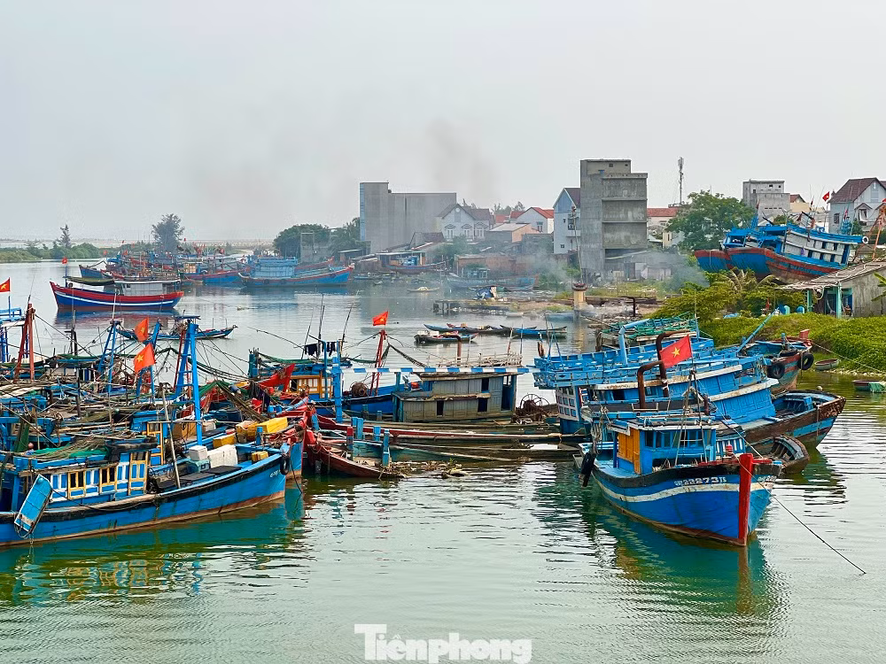 Sau thời gian dài neo đậu, những tàu cá tiền tỷ bắt đầu hư hỏng rồi chìm xuống sông Phú Thọ. Sau thời gian dài neo đậu, những tàu cá tiền tỷ bắt đầu hư hỏng rồi chìm xuống sông Phú Thọ.