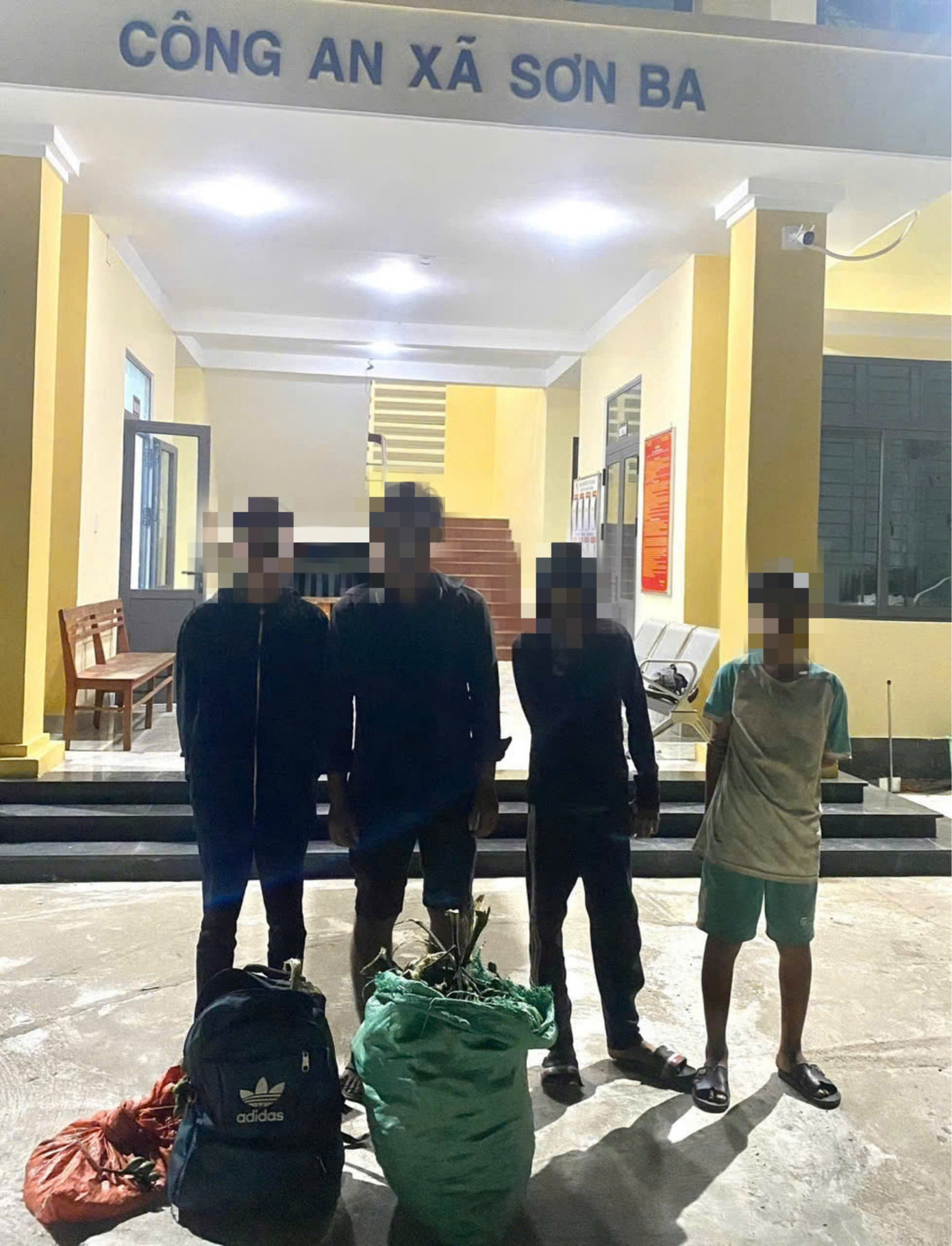 Bốn thanh niên ở huyện Ba Tơ qua huyện Sơn Hà trộm cau bị bắt giữ.