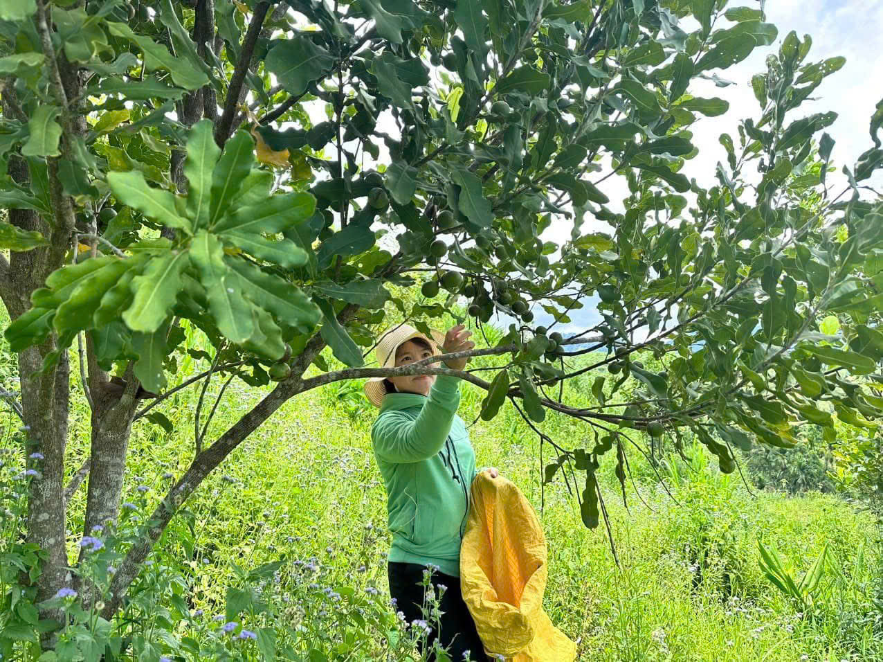 Nhiều hộ dân đã mạnh dạn “bắt tay” với doanh nghiệp, nỗ lực phát triển kinh tế, để thoát nghèo và vươn lên làm giàu. Nhiều hộ dân đã mạnh dạn “bắt tay” với doanh nghiệp, nỗ lực phát triển kinh tế, để thoát nghèo và vươn lên làm giàu.