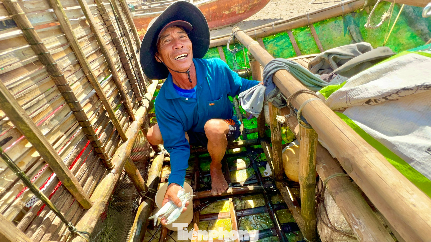 Theo ngư dân Nguyễn Thanh Bình (trú xã Đức Minh), nghề đánh bắt gần bờ nó tréo ngoe lắm. Mùa biển động lại là thời điểm cá tôm nhiều hơn hẳn các tháng biển lặng. Biển động, nhiều loại tôm cá thường dạt vào gần bờ và những ‘cây chà’ ngư dân dựng trên biển trú ngụ nên mỗi chuyến ra biển chỉ từ 6-8 tiếng nhưng đánh bắt được rất nhiều hải sản.