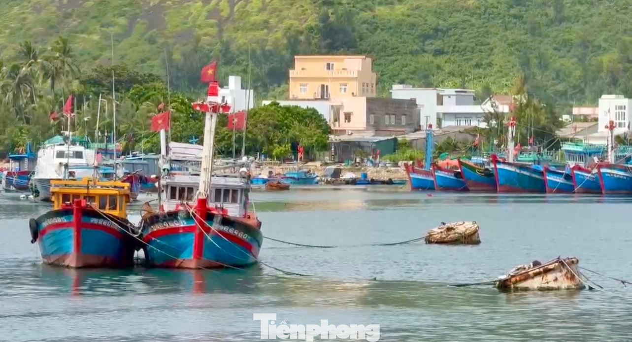 Sau khi hoàn thành, dự án này có thể tiếp nhận khoảng 500 tàu cá công suất trên 400 CV vào neo đậu tránh trú.