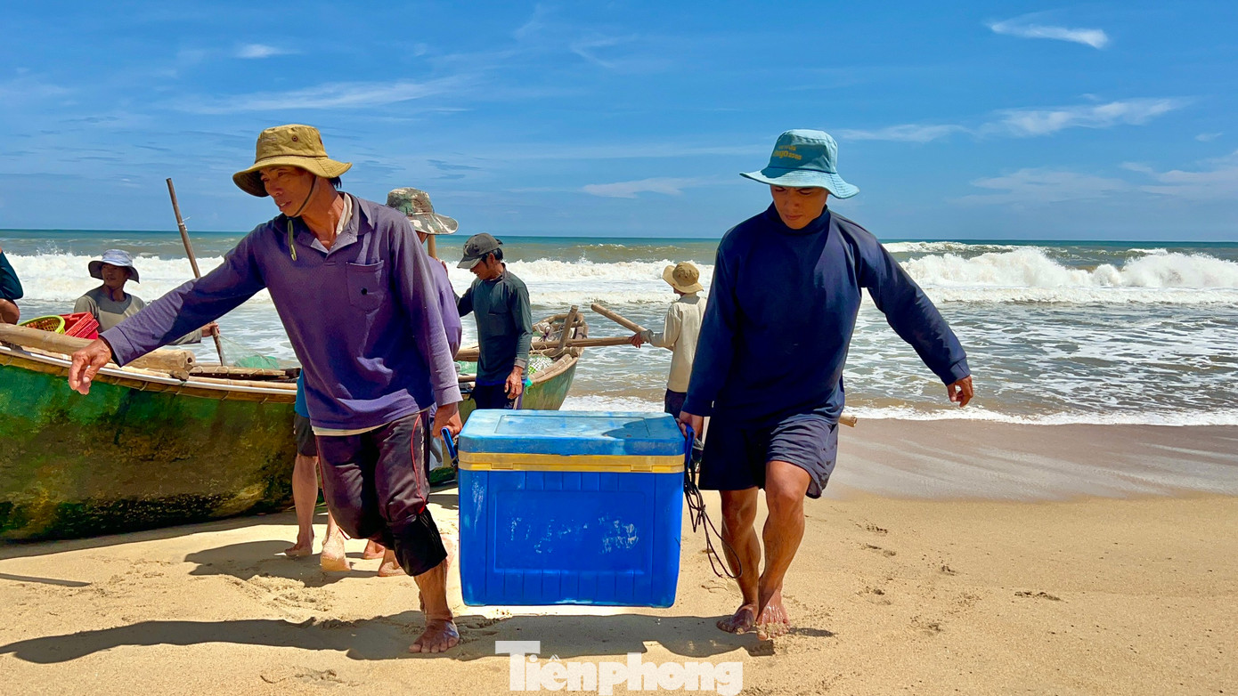 “Bên cạnh đó, thời gian đánh bắt ngắn nên hải sản vẫn còn tươi sống, bán được giá cao hơn những ngày bình thường”, ngư dân Bình nói.