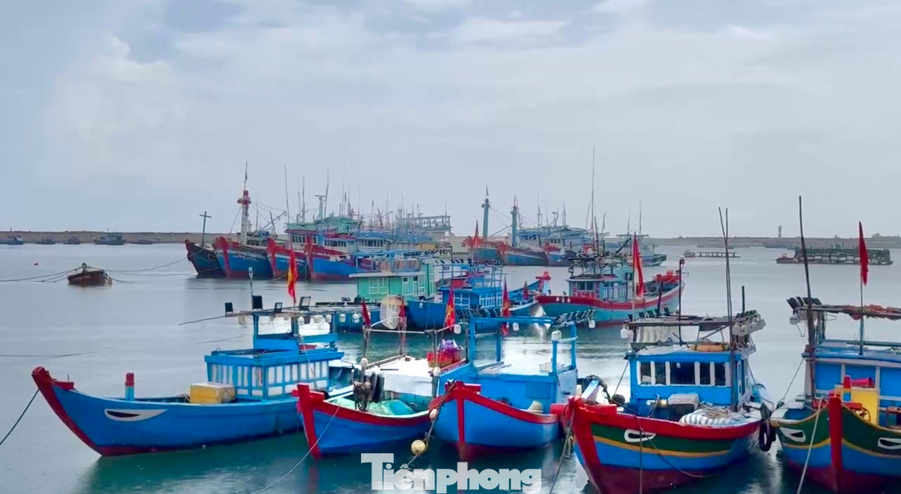 Sau khi hoàn thành, dự án này có thể tiếp nhận khoảng 500 tàu cá công suất trên 400 CV vào neo đậu tránh trú.