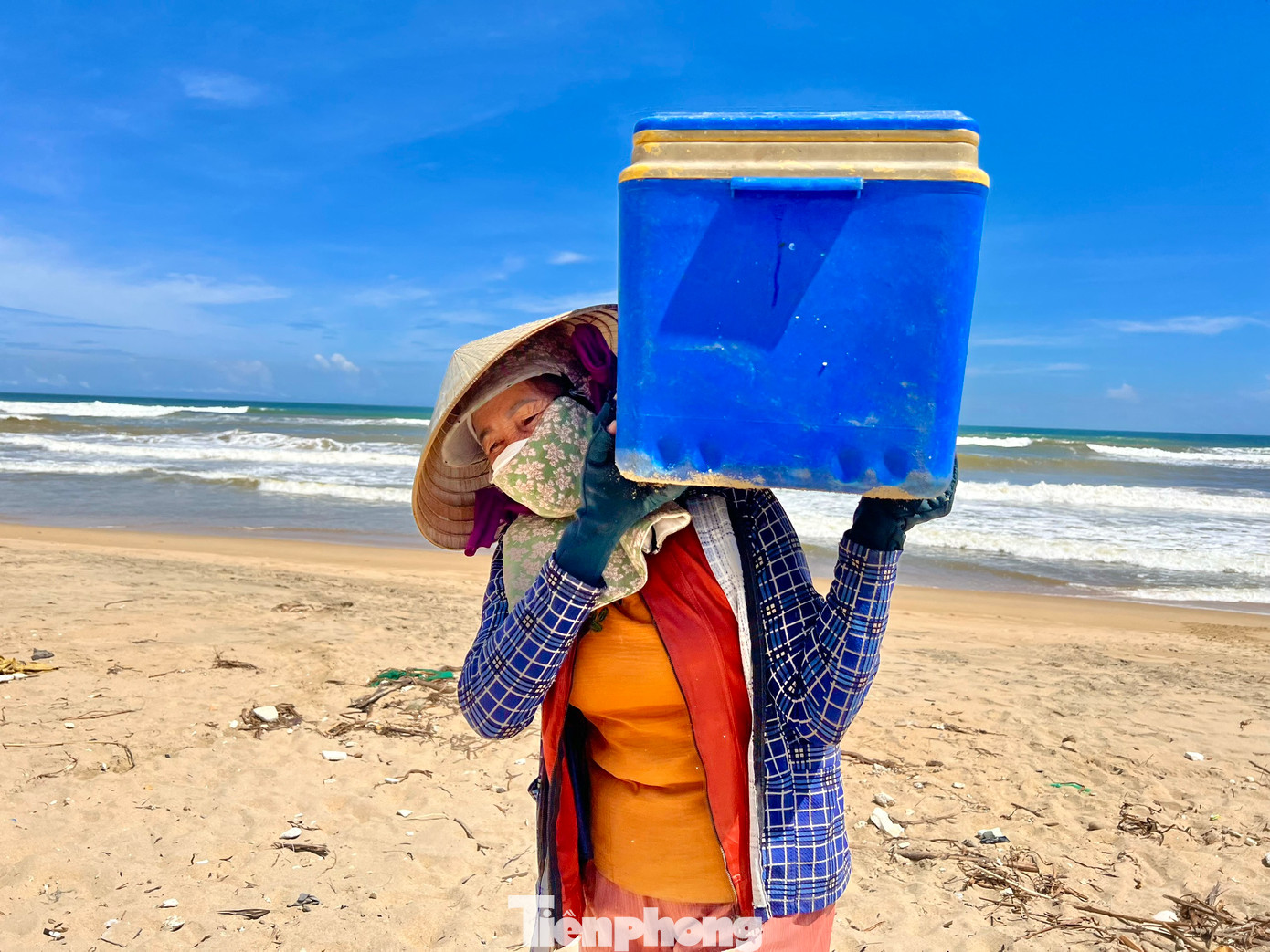 Cá được vận chuyển lên bán cho thương lái.