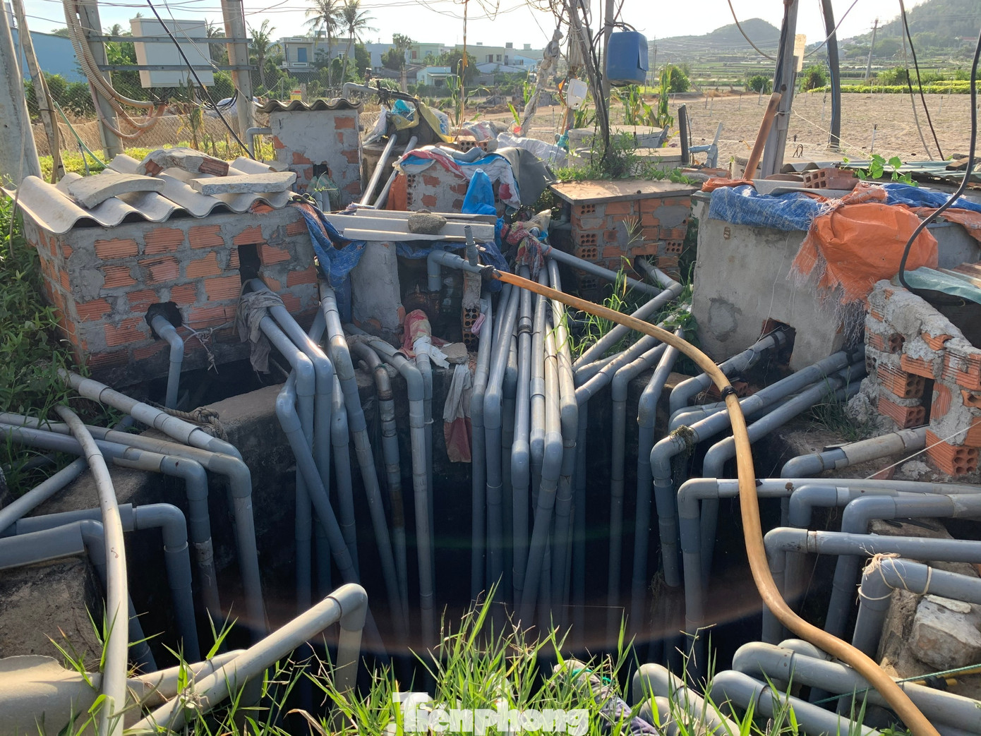 Một giếng nước ở Lý Sơn với cả trăm máy bơm, hút nước phục vụ sản xuất nông nghiệp.