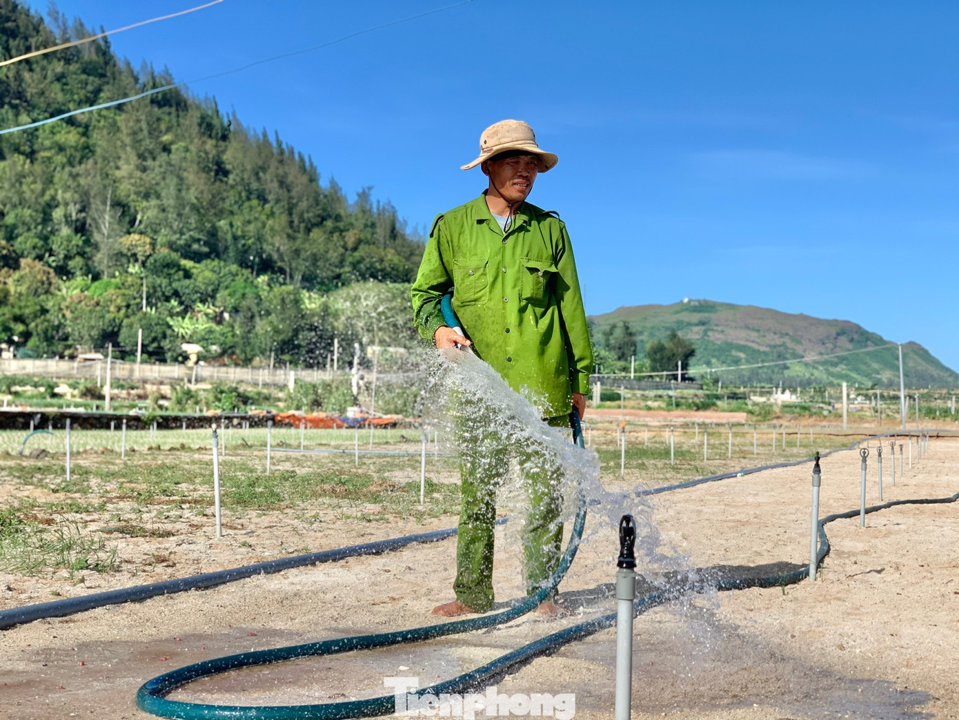 .. thay vì phục vụ sản xuất nông nghiệp như lâu nay.