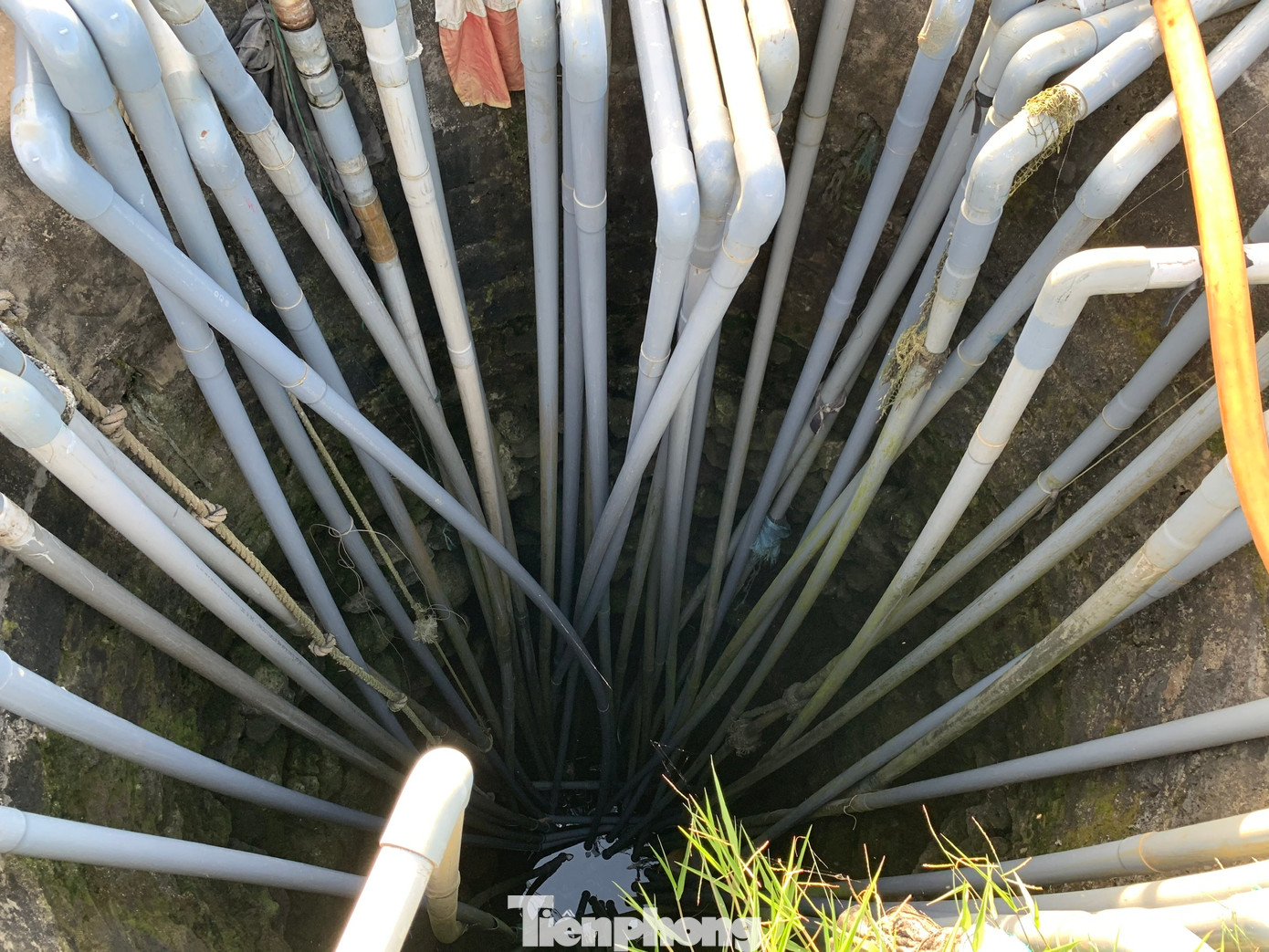 Một giếng nước ở Lý Sơn với cả trăm máy bơm, hút nước phục vụ sản xuất nông nghiệp.