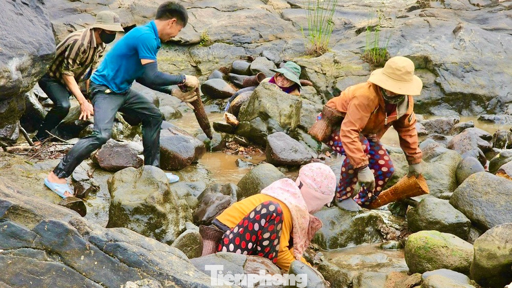 Anh Đinh Văn Tới (trú thôn Long Thượng, xã Long Mai) chia sẻ đặc trưng lòng sông có rất nhiều đá lớn, nhỏ. Thanh niên trong làng sẽ dùng chính đá ấy để đắp một đoạn bờ ở khu vực nước cạn dài khoảng trăm mét ngăn đôi dòng sông. “Khi ngăn xong rồi thì chặn một bên, dẫn dòng nước chảy sang một bên. Khi nước rút hết thì bà con cùng nhau bắt cá”, anh Tới nói. Ảnh: Nguyễn Ngọc.